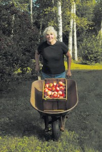 Judith Maloney and her wheel-barrow, Catamount Hill Orchard, harvest 2007. JIM LANGONE 