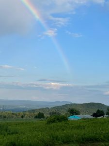 West County Cider - West County Cider